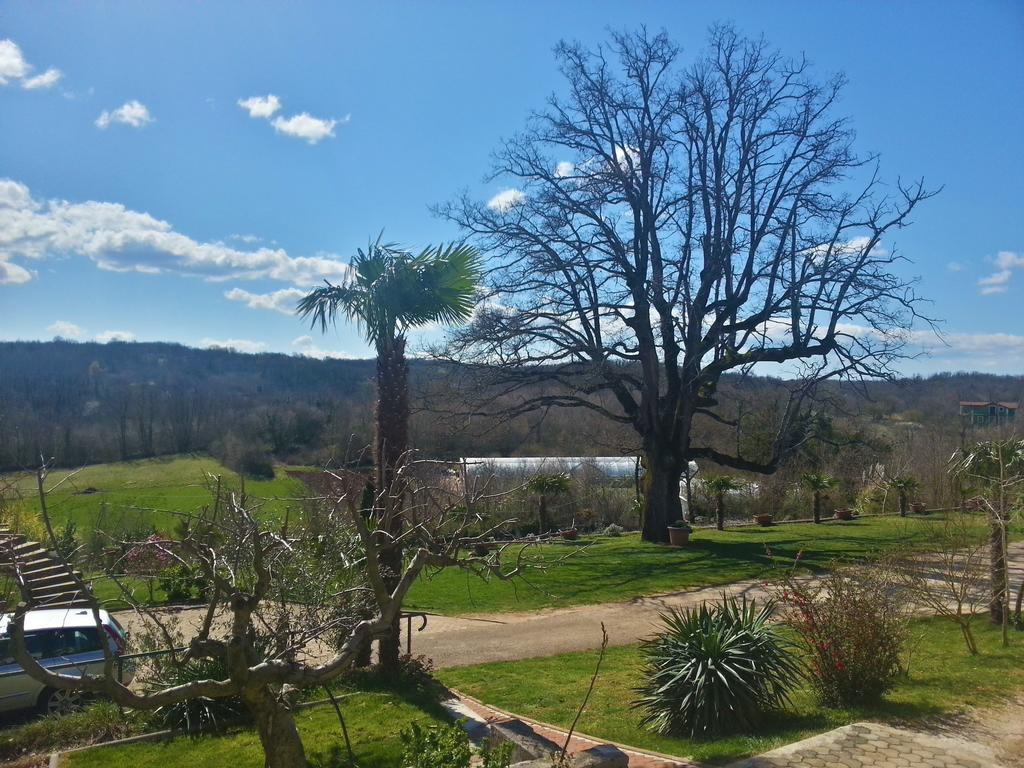 Villa Lara Karojba Δωμάτιο φωτογραφία